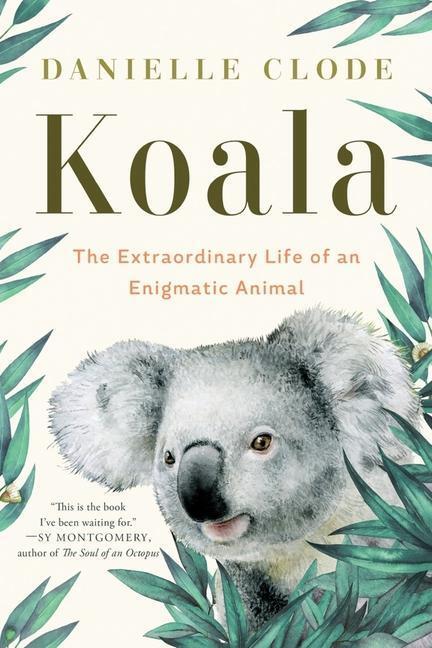Cover: 9781324036838 | Koala | A Natural History and an Uncertain Future | Danielle Clode