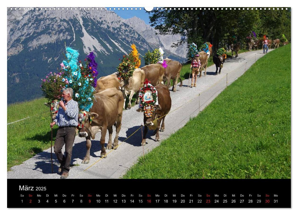 Bild: 9783435536597 | Almabtrieb in Tirol (Wandkalender 2025 DIN A2 quer), CALVENDO...