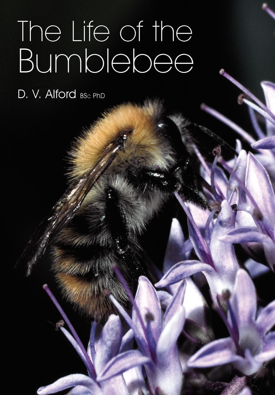 Cover: 9781904846420 | The Life of the bumblebee | D V Alford | Taschenbuch | Paperback