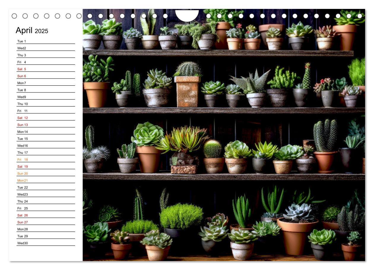 Bild: 9781325833092 | Cacti Wonderland (Wall Calendar 2025 DIN A4 landscape), CALVENDO 12...