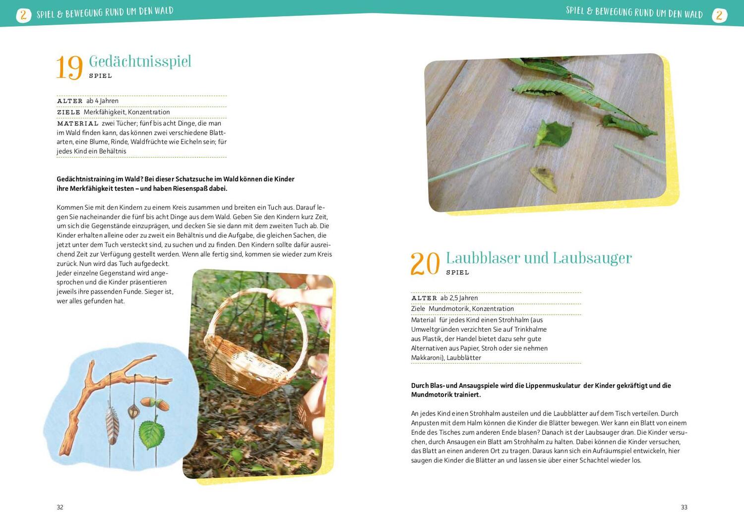 Bild: 9783780651402 | Projektreihe Kindergarten - Wir entdecken den Wald | Anja Mohr | Buch