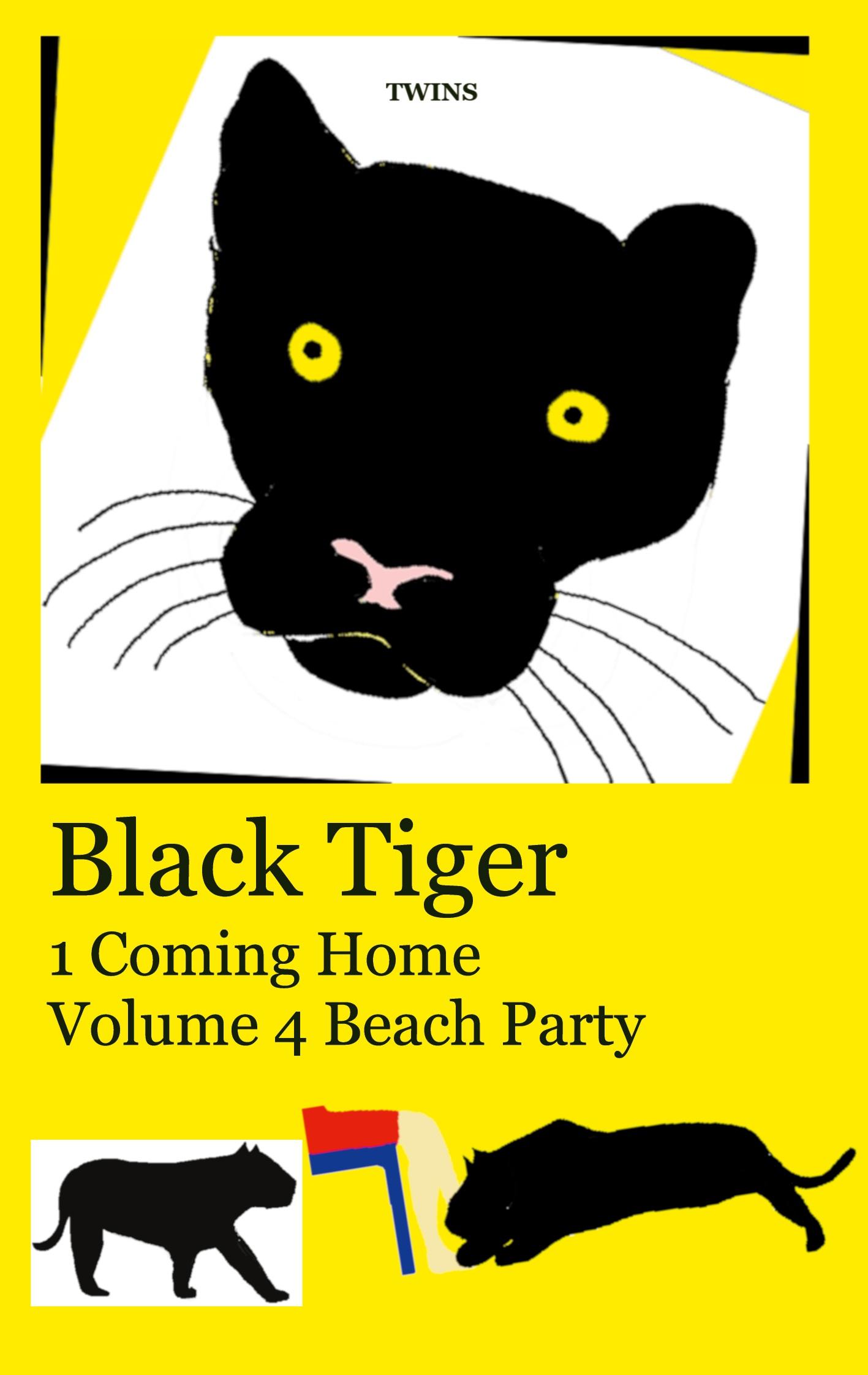 Cover: 9783769350289 | Black Tiger 1 Coming Home | Volume 4 Beach Party | .. Twins | Buch