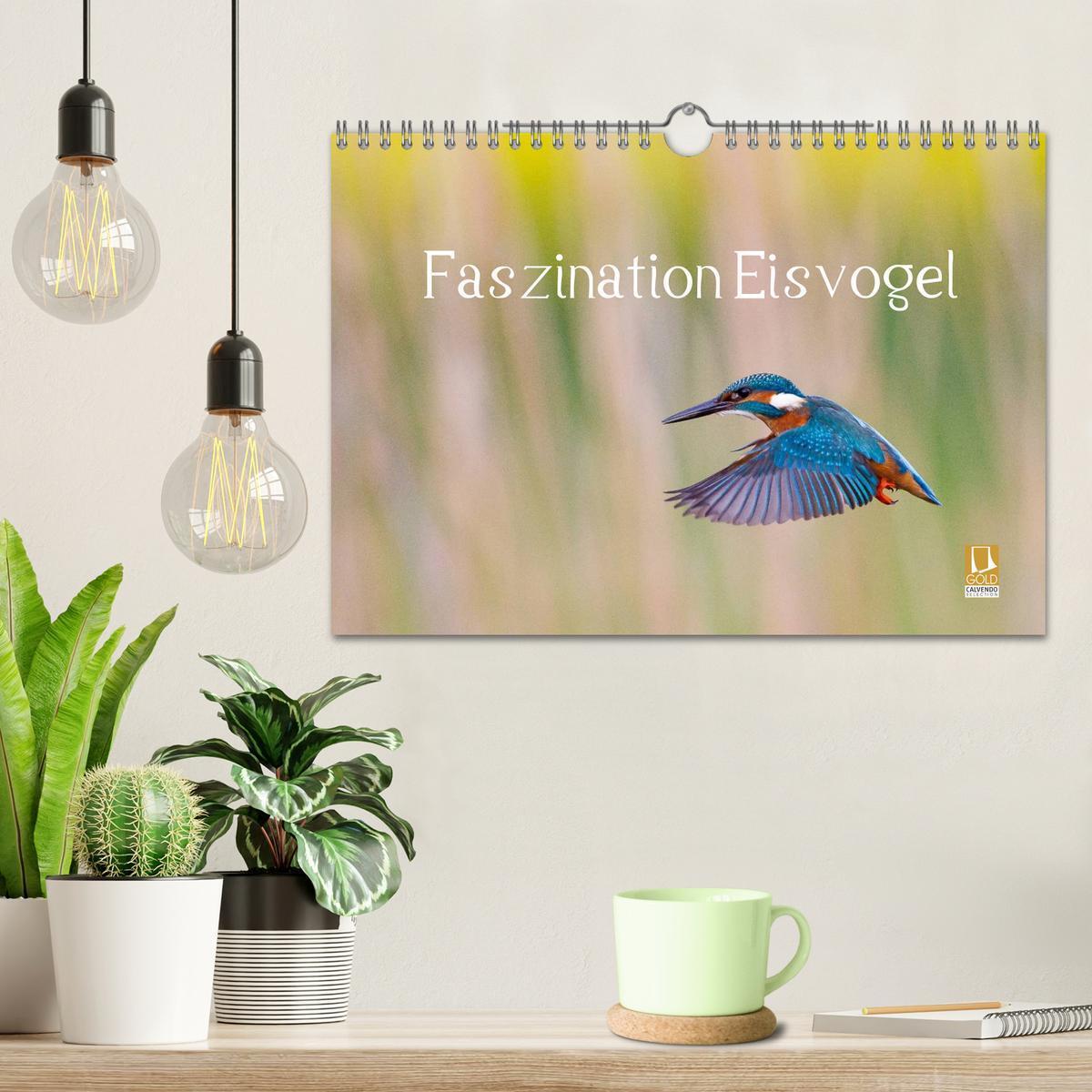 Bild: 9783435504077 | Faszination Eisvogel (Wandkalender 2025 DIN A4 quer), CALVENDO...