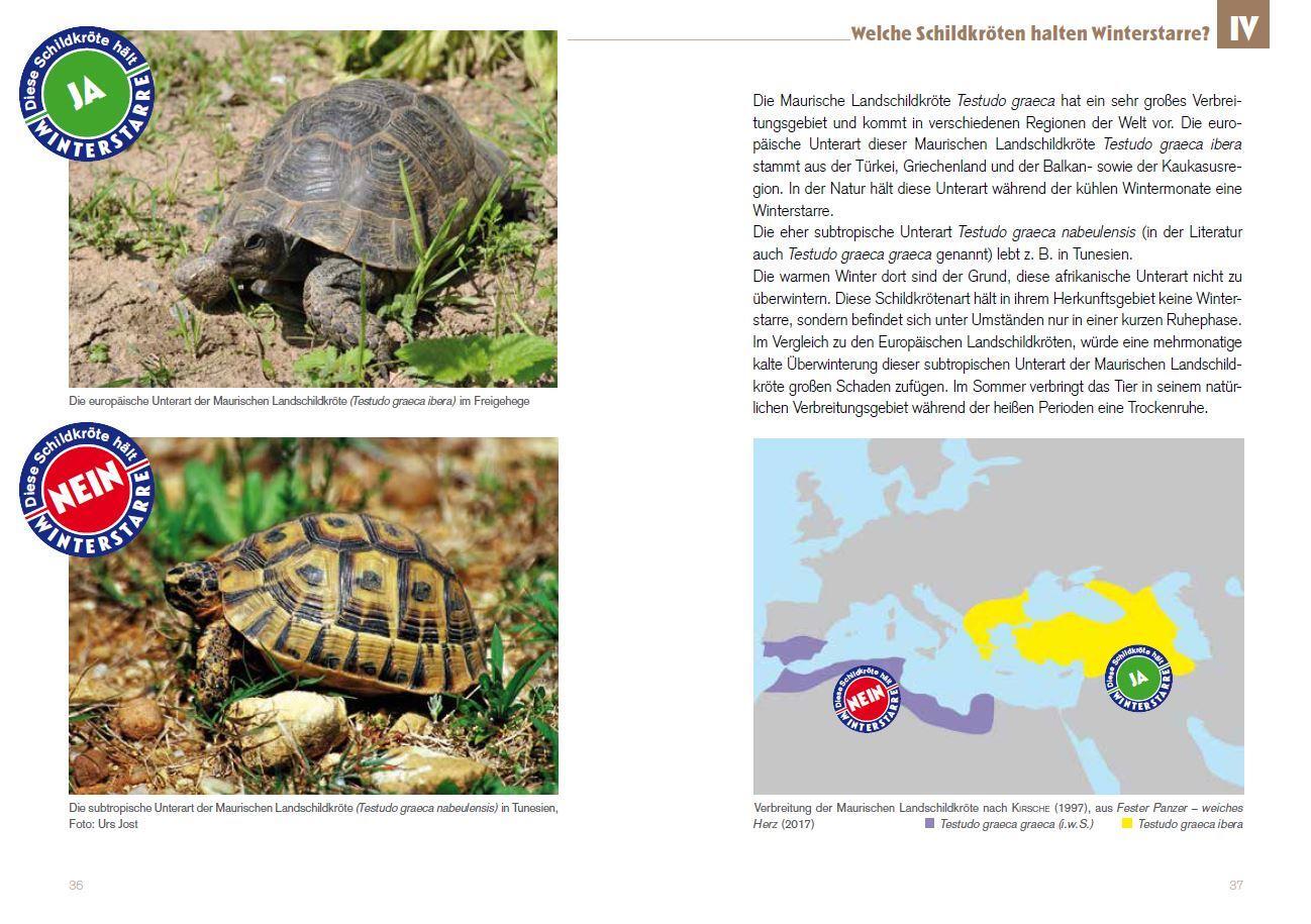 Bild: 9783944484198 | Winterstarre bei Europäischen Landschildkröten | Thorsten Geier | Buch