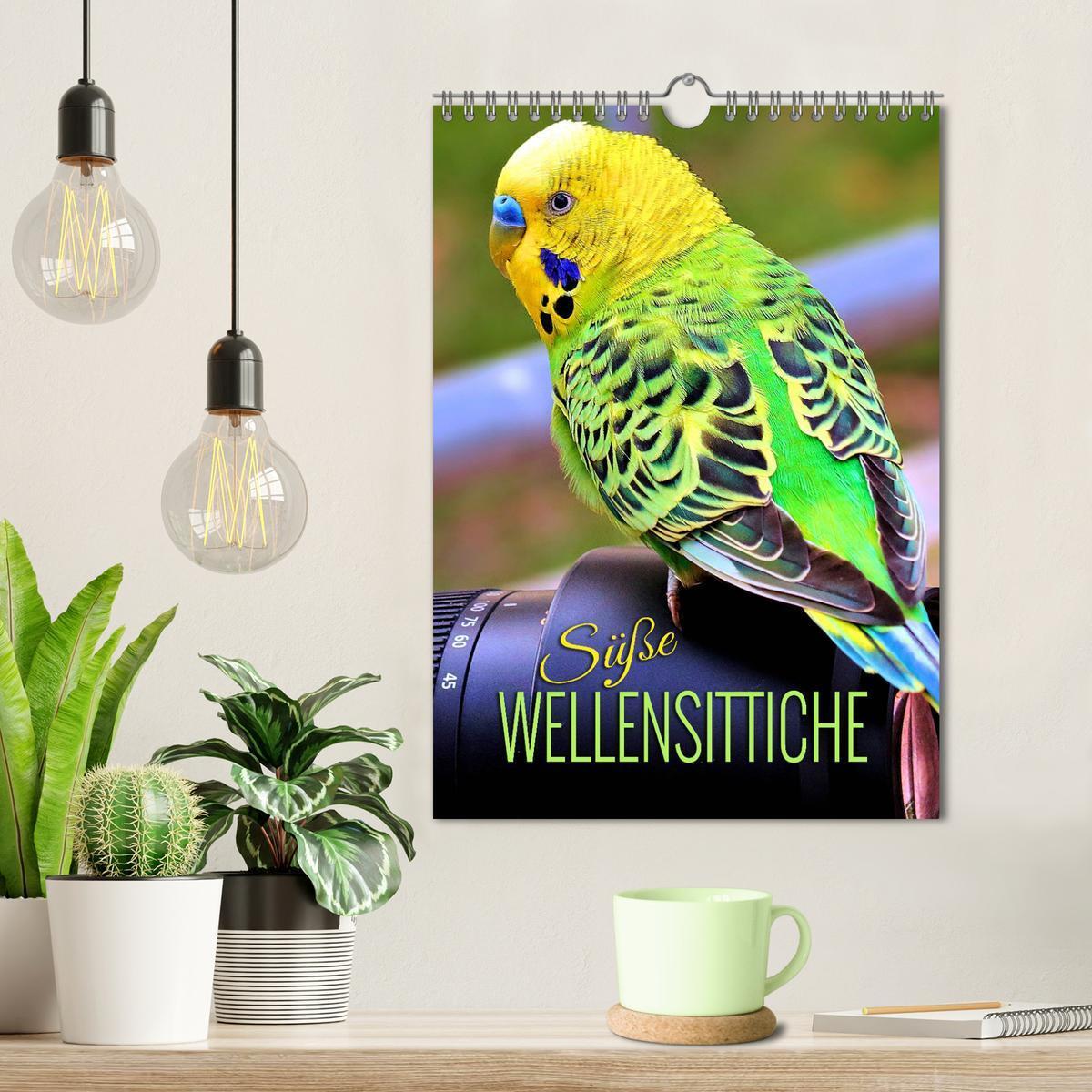 Bild: 9783435888627 | Süße Wellensittiche (Wandkalender 2025 DIN A4 hoch), CALVENDO...