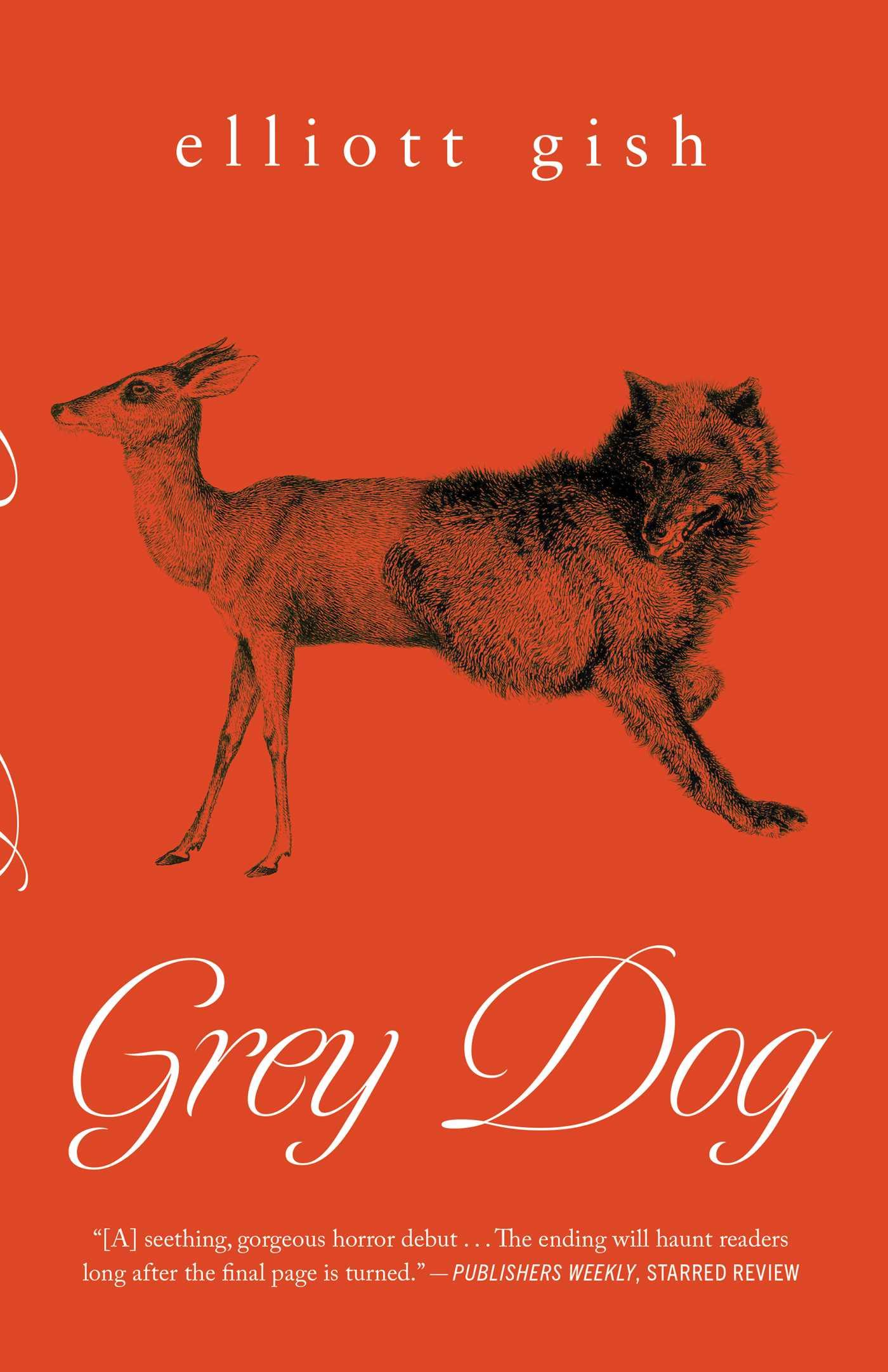 Cover: 9781770417328 | Grey Dog | Elliott Gish | Taschenbuch | Englisch | 2024 | ECW Press