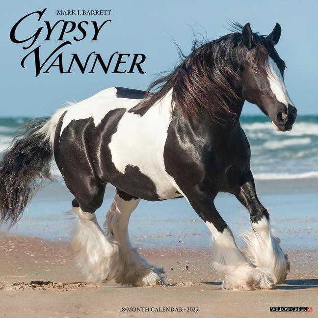 Cover: 9781549243264 | Gypsy Vanner Horse 2025 12 X 12 Wall Calendar | Willow Creek Press