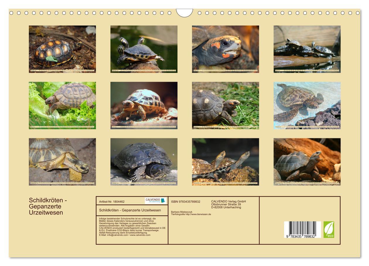 Bild: 9783435789832 | Schildkröten - Gepanzerte Urzeitwesen (Wandkalender 2025 DIN A3...