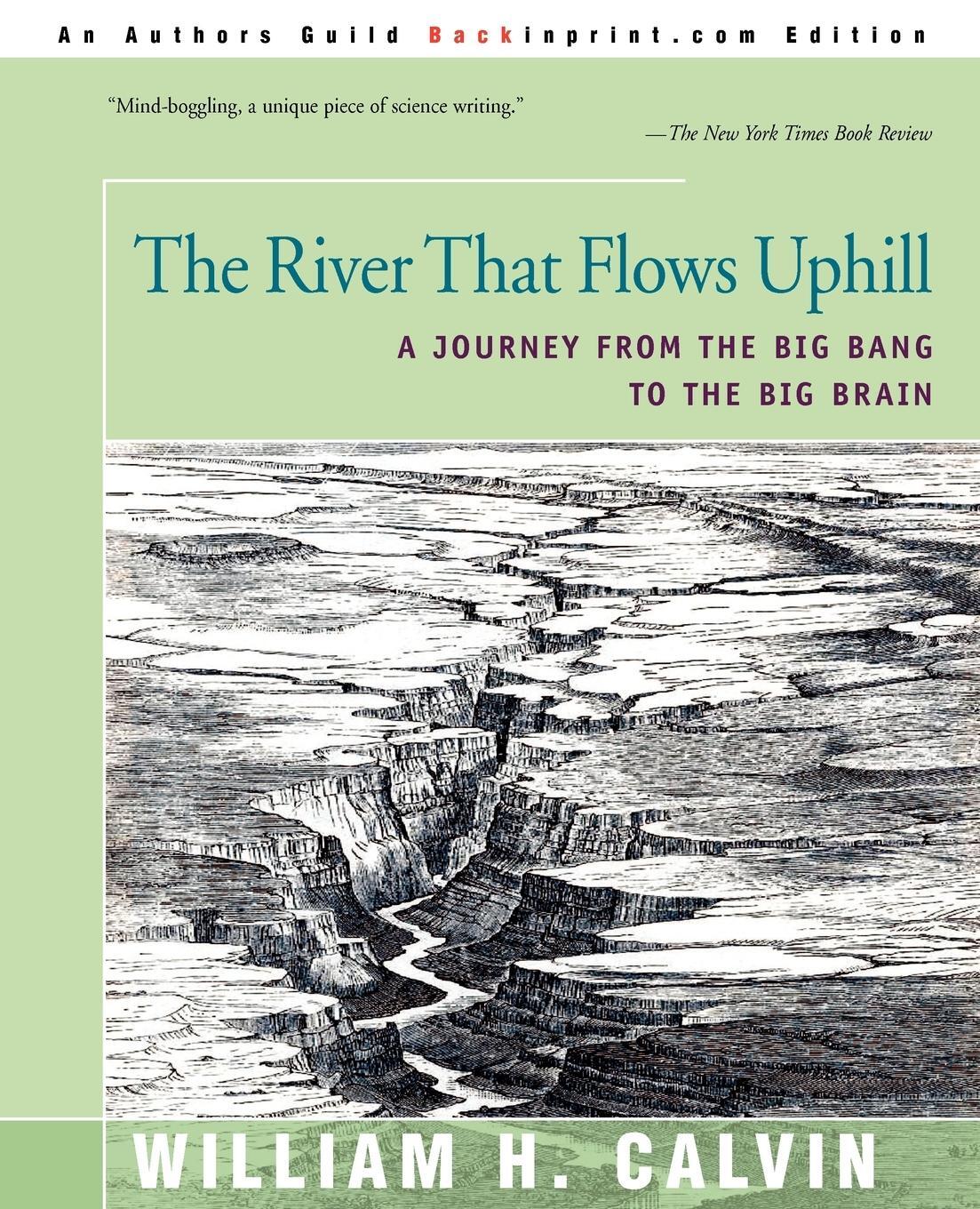 Cover: 9780595167005 | The River That Flows Uphill | William H. Calvin | Taschenbuch | 2000