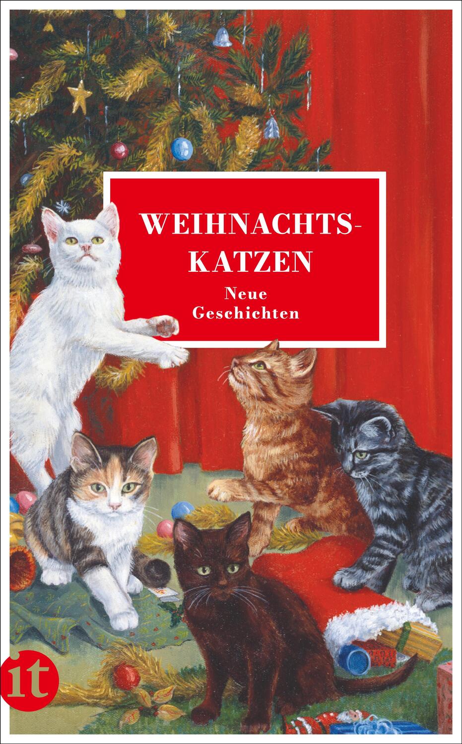 Cover: 9783458681755 | Weihnachtskatzen | Neue Geschichten | Taschenbuch | Deutsch | 2021