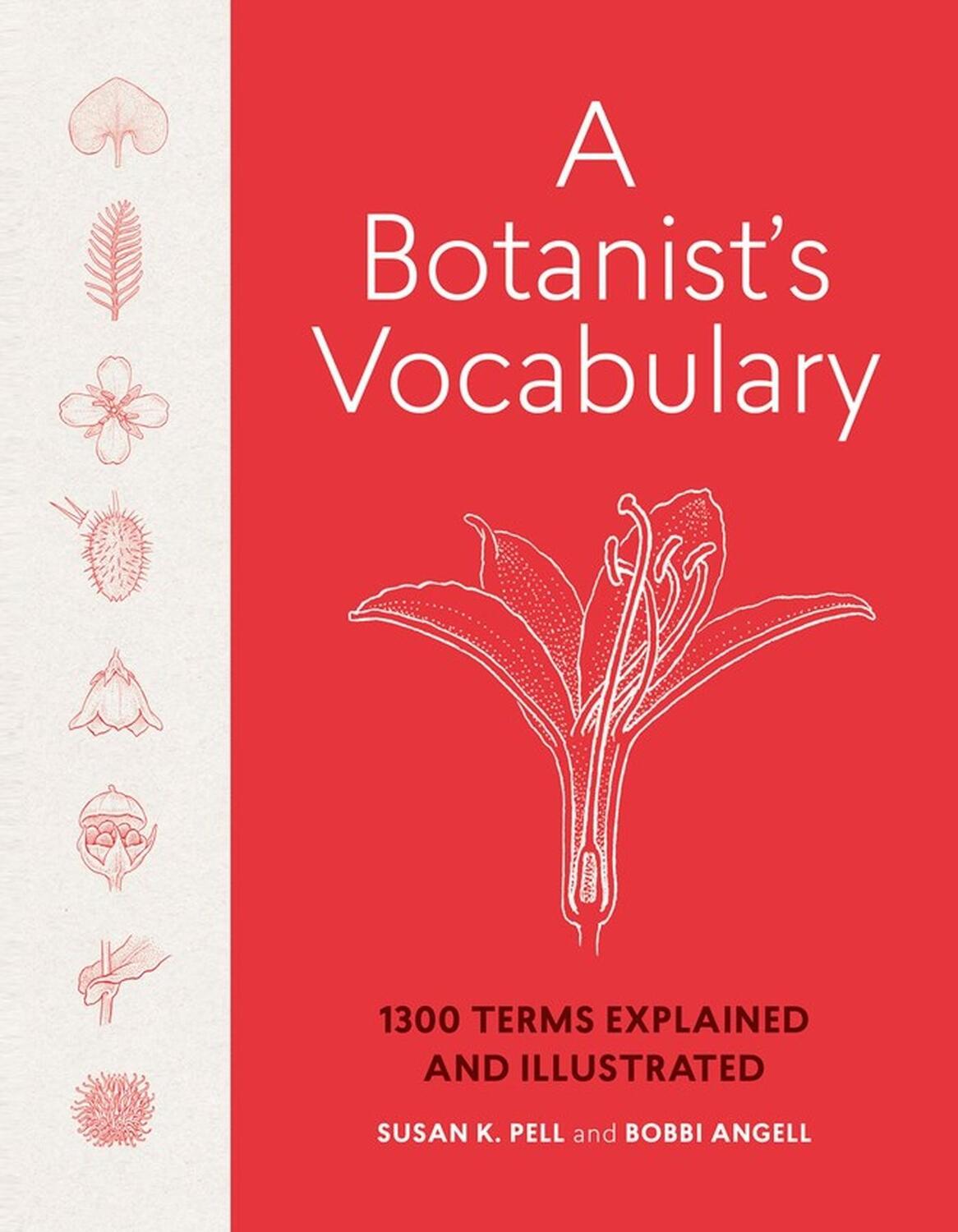 Cover: 9781604695632 | A Botanist's Vocabulary | 1300 Terms Explained and Illustrated | Buch