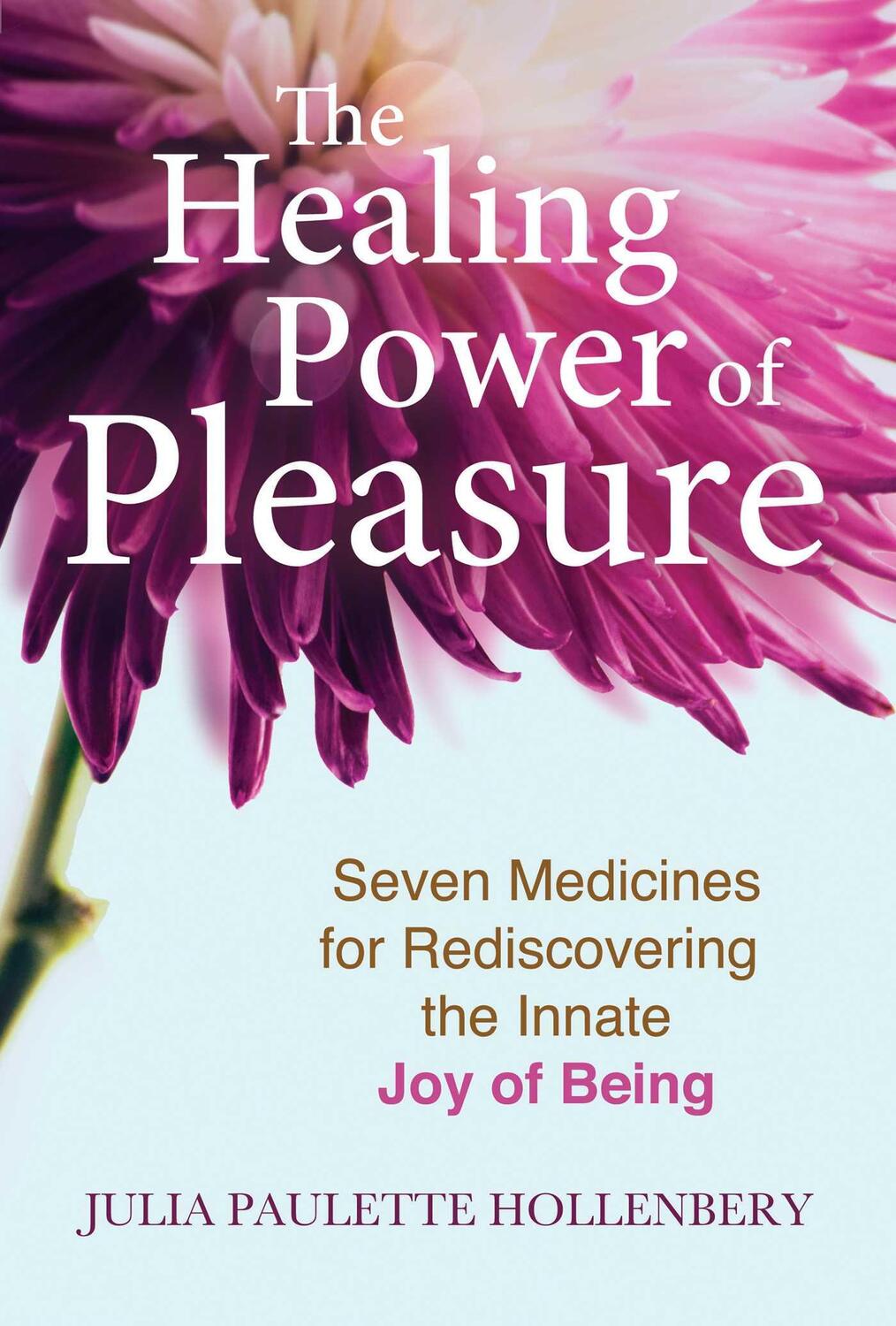 Cover: 9781644113264 | The Healing Power of Pleasure | Julia Paulette Hollenbery | Buch