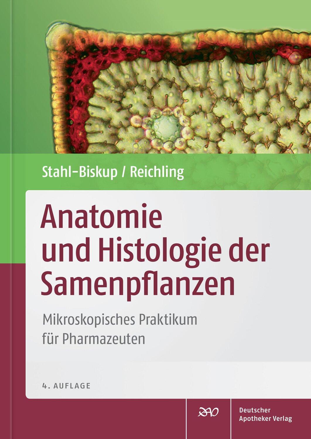 Cover: 9783769261189 | Anatomie und Histologie der Samenpflanzen | Stahl-Biskup (u. a.)