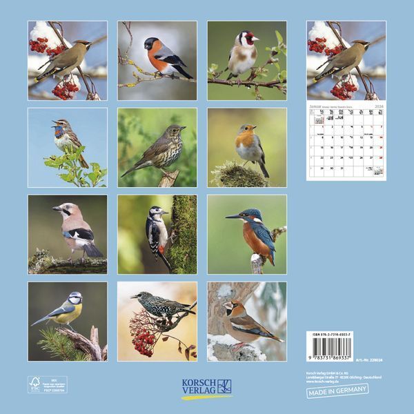 Bild: 9783731869337 | Vögel 2024 | Korsch Verlag | Kalender | Englisch Broschur | 13 S.