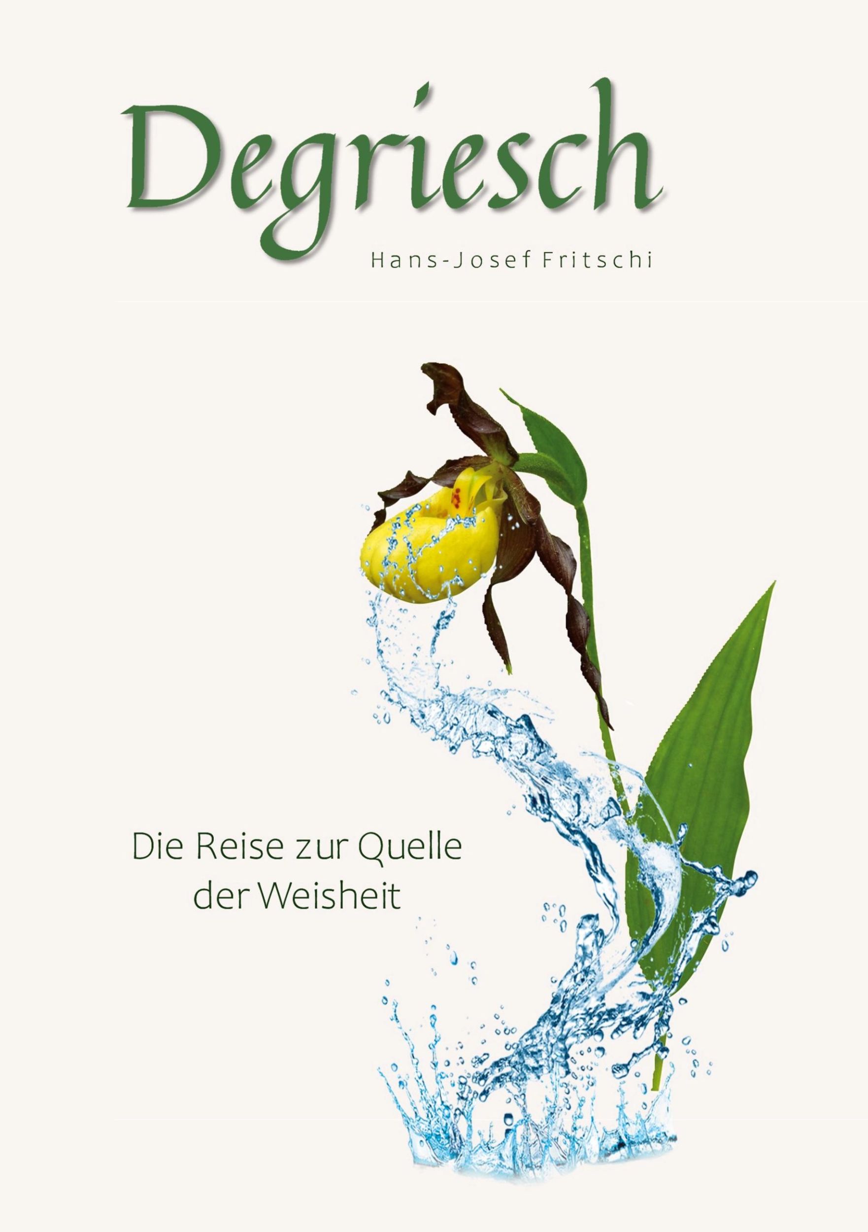 Cover: 9783769324198 | Degriesch | Die Reise zur Quelle der Weisheit | Hans-Josef Fritschi