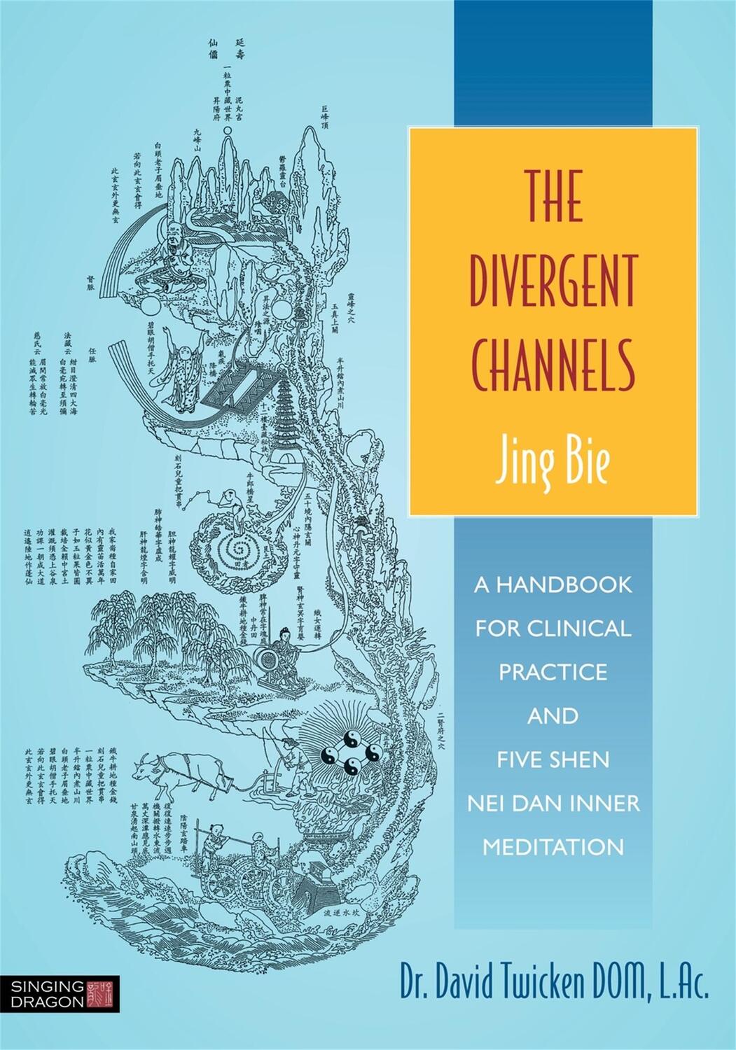 Cover: 9781848191891 | The Divergent Channels - Jing Bie | David Twicken | Taschenbuch | 2014