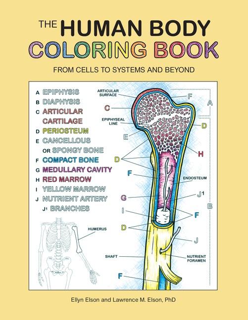 Cover: 9780063009752 | The Human Body Coloring Book | From Cells to Systems and Beyond | Inc