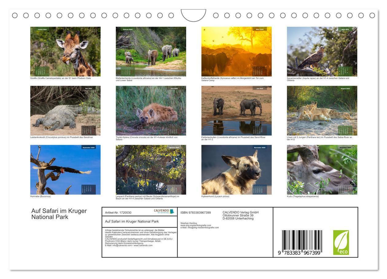 Bild: 9783383967399 | Auf Safari im Kruger National Park (Wandkalender 2025 DIN A4 quer),...