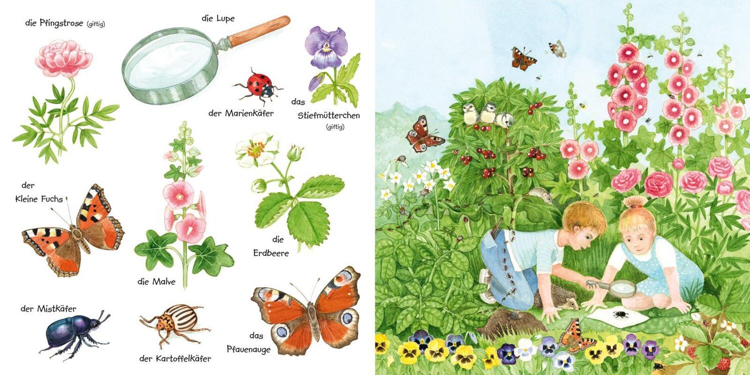 Bild: 9783551173249 | Mein kleines buntes Bildwörterbuch: Krabbeltiere und Blümchen | Henkel