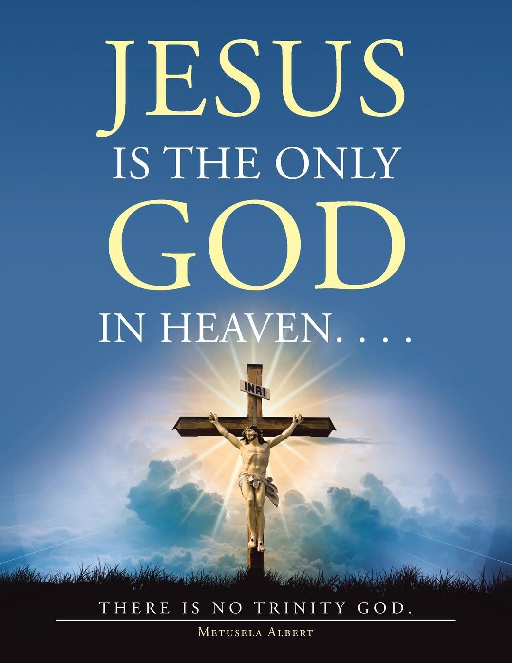 Cover: 9781664194342 | Jesus Is the Only God in Heaven. . . . There Is No Trinity God. | Buch