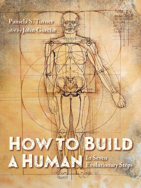 Cover: 9781623542504 | How to Build a Human | Pamela S. Turner (u. a.) | Buch | Englisch