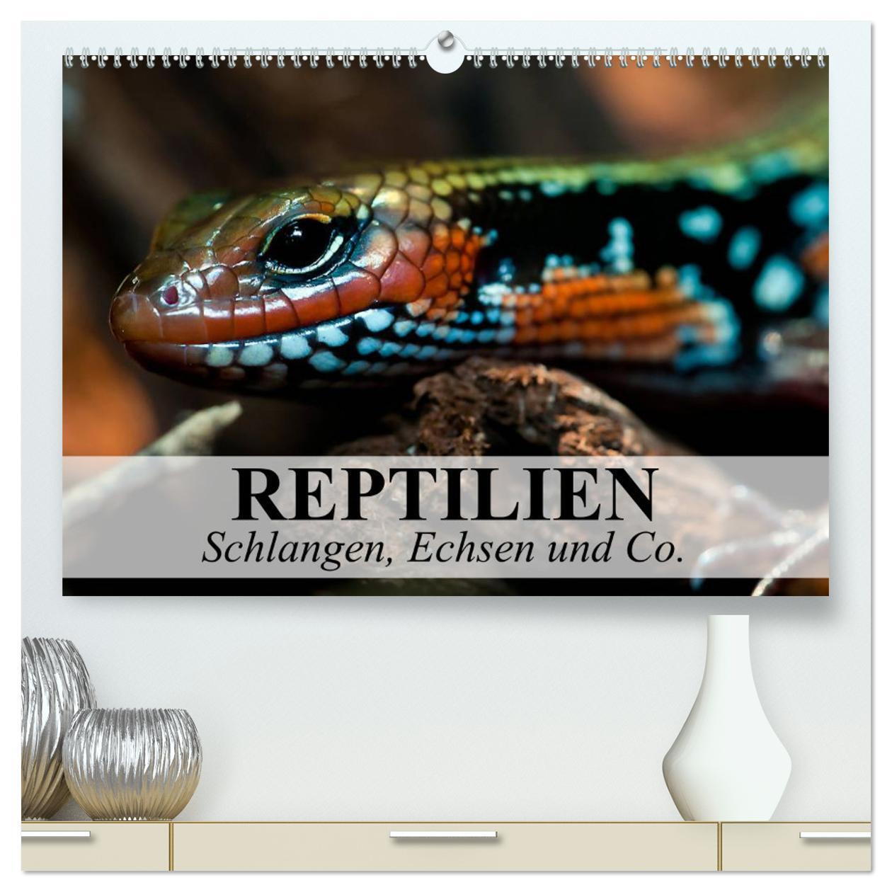 Cover: 9783383410161 | Reptilien Schlangen, Echsen und Co. (hochwertiger Premium...