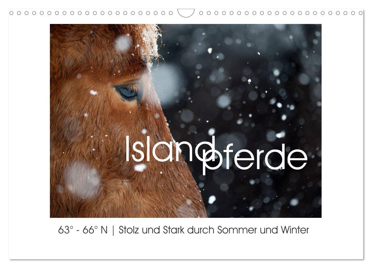 Cover: 9783435526086 | Islandpferde - Stolz und Stark durch Sommer und Winter...