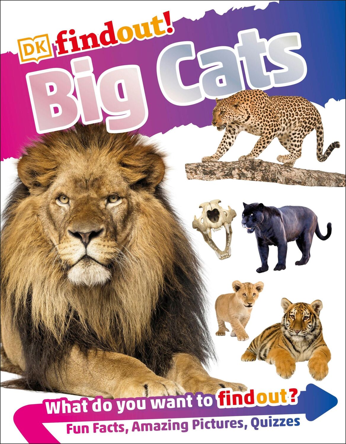 Cover: 9780241358412 | DKfindout! Big Cats | Dk | Taschenbuch | Kartoniert / Broschiert