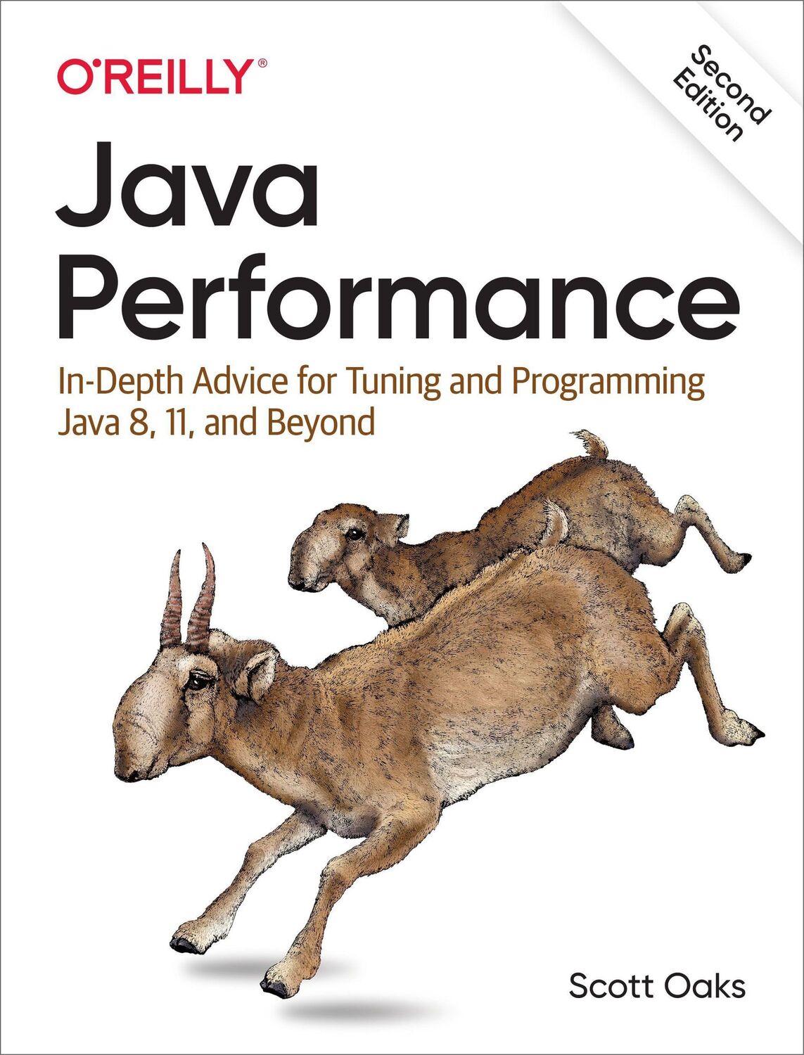 Cover: 9781492056119 | Java Performance | Scott Oaks | Taschenbuch | Kartoniert / Broschiert