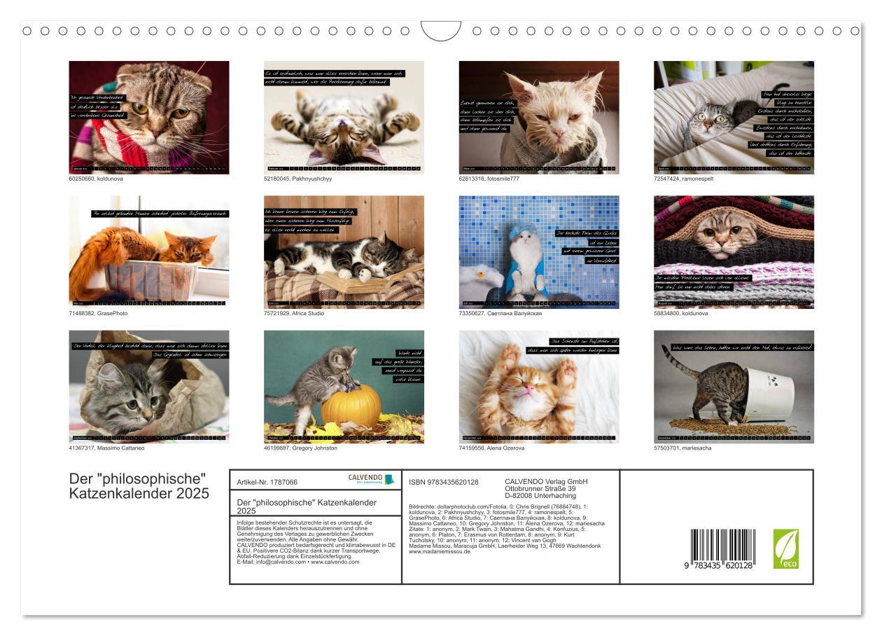 Bild: 9783435620128 | Der "philosophische" Katzenkalender 2025 (Wandkalender 2025 DIN A3...