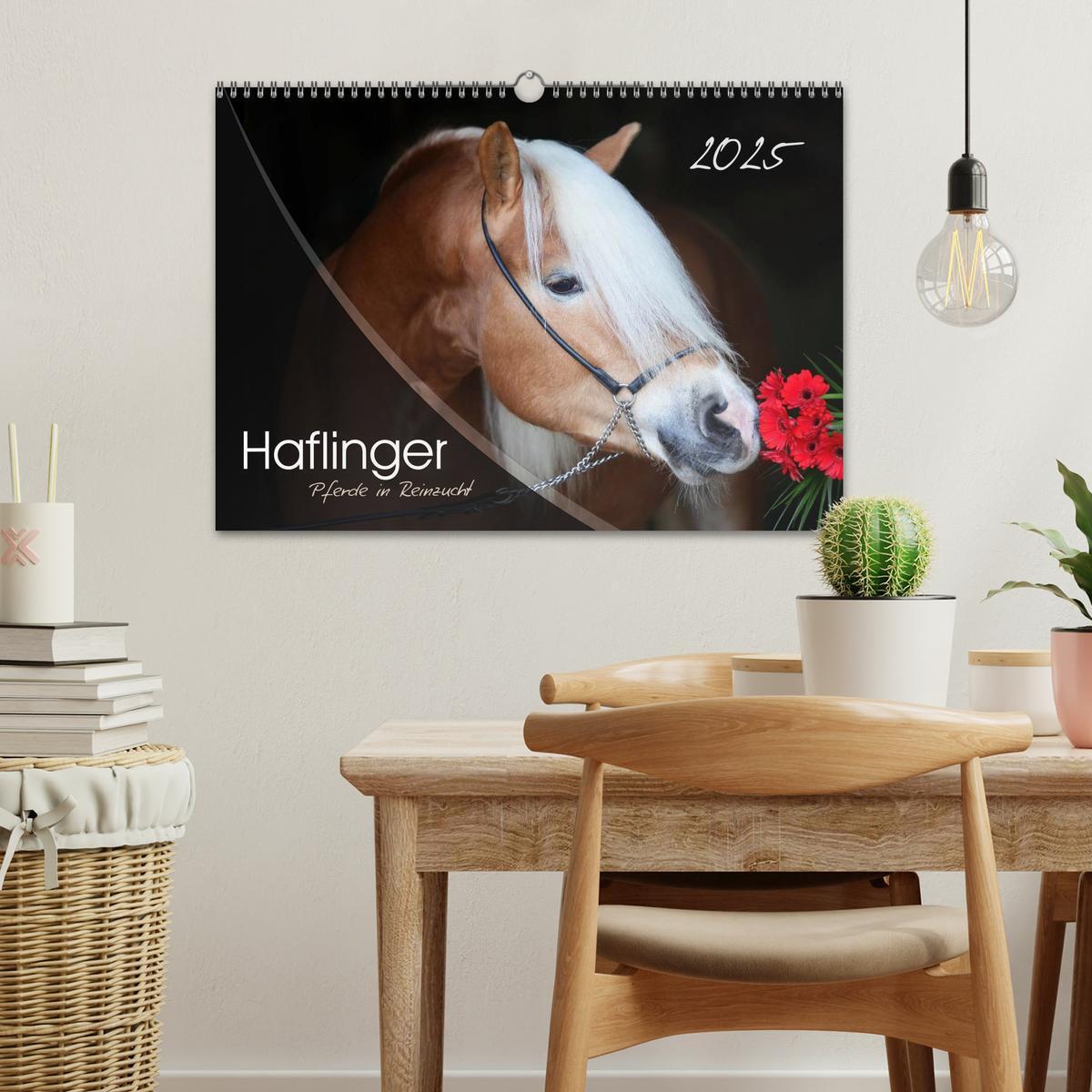 Bild: 9783435505173 | Haflinger-Pferde in Reinzucht (Wandkalender 2025 DIN A3 quer),...