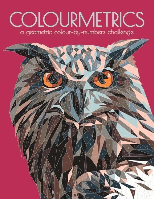 Cover: 9781780557489 | Colourmetrics | A Geometric Colour by Numbers Challenge | Taschenbuch