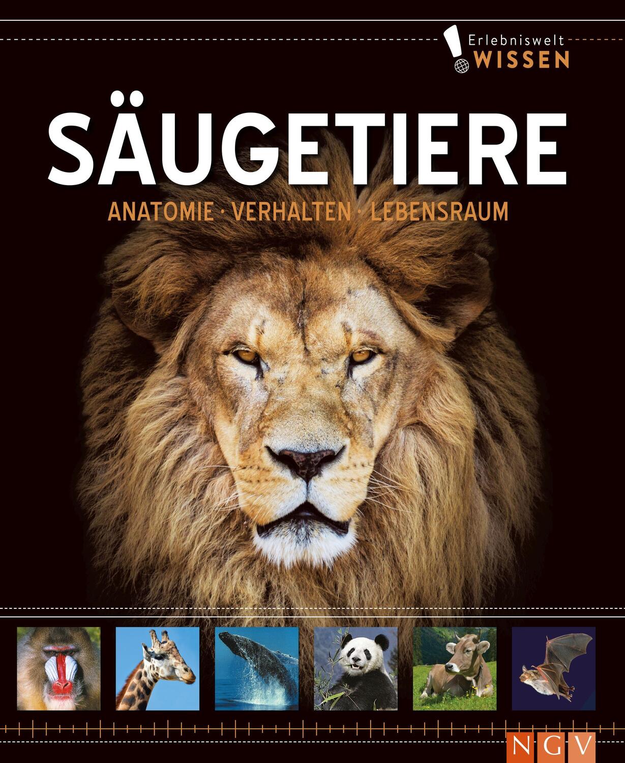 Cover: 9783625193012 | Erlebniswelt Wissen Säugetiere | Buch | 96 S. | Deutsch | 2022