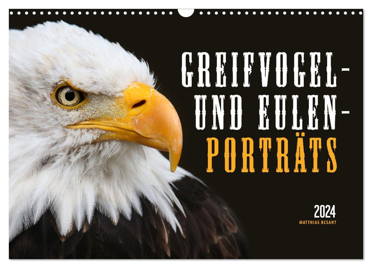 Cover: 9783675629394 | GREIFVOGEL- UND EULENPORTRÄTS (Wandkalender 2024 DIN A3 quer),...