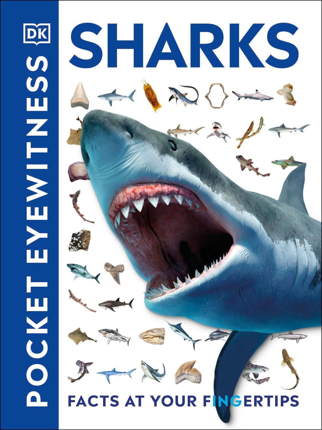 Cover: 9780241343616 | Pocket Eyewitness Sharks | Facts at Your Fingertips | Dk | Taschenbuch