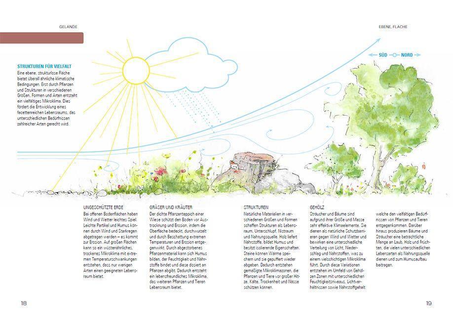 Bild: 9783258083469 | So geht Naturgarten | Katja Falkenburger | Buch | 176 S. | Deutsch