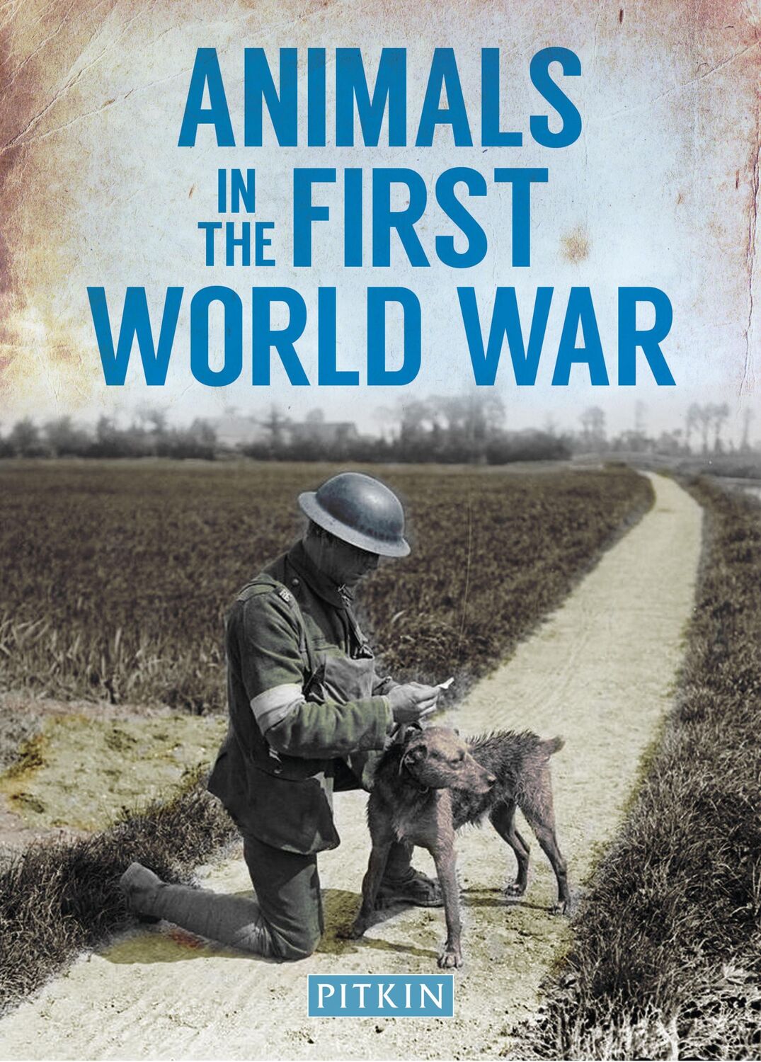 Cover: 9781841656885 | Animals in the First World War | Peter Street | Taschenbuch | Englisch