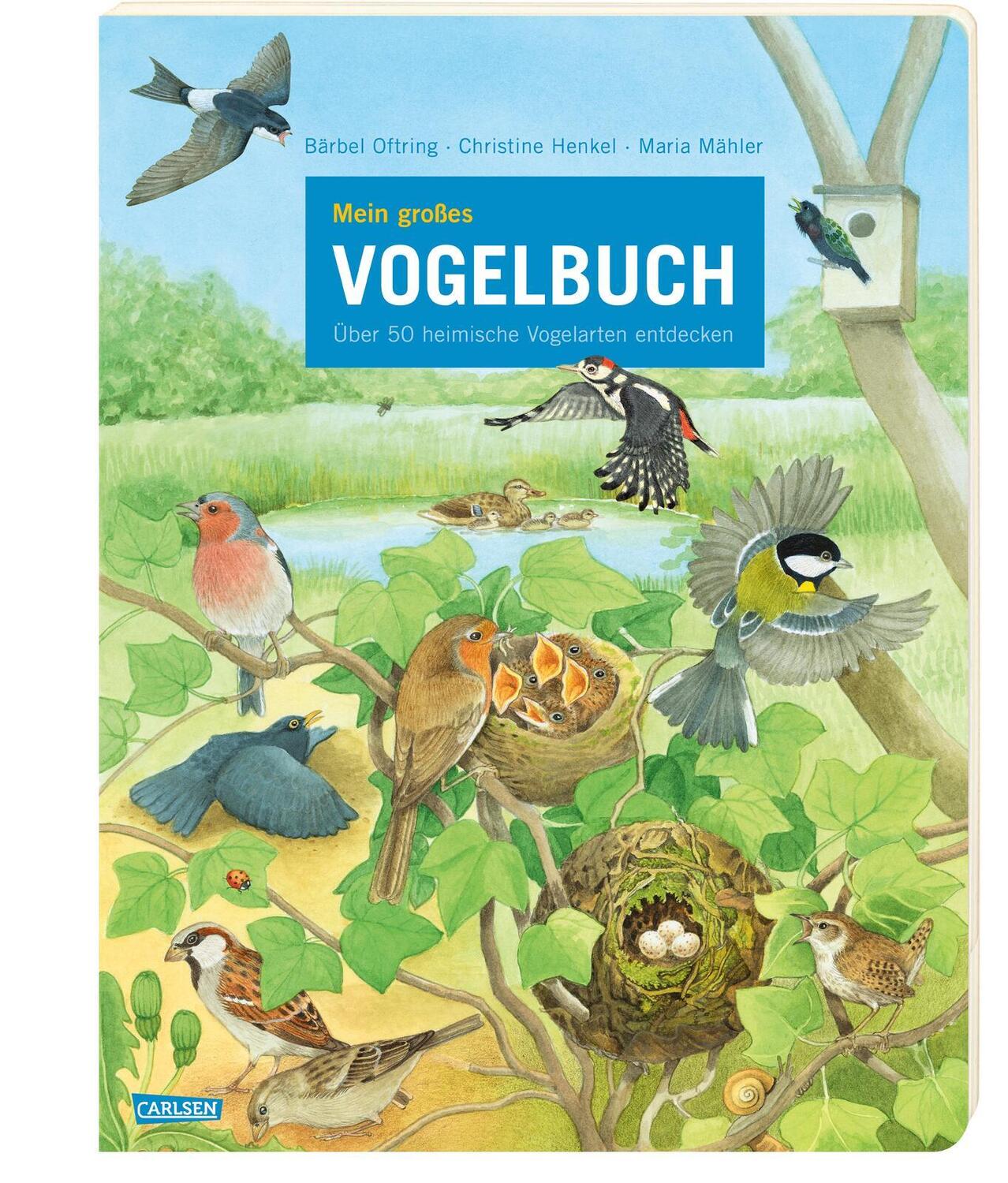 Cover: 9783551255013 | Mein großes Vogelbuch | Über 50 heimische Vogelarten entdecken | Buch