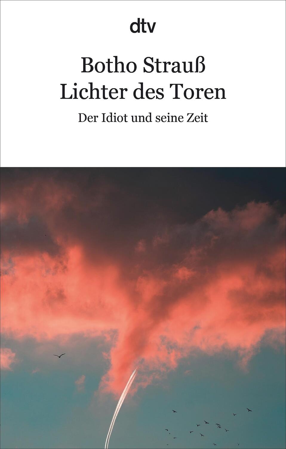 Cover: 9783423148627 | Lichter des Toren | Botho Strauß | Taschenbuch | Deutsch | 2023
