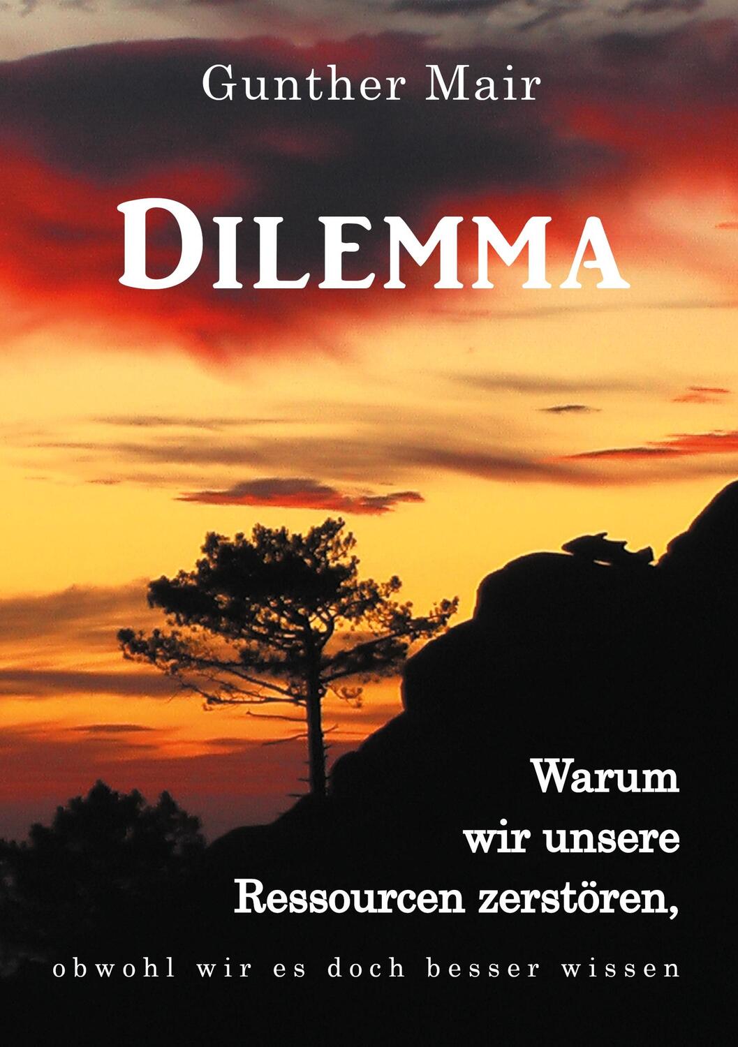 Cover: 9783347305212 | Dilemma | Gunther Mair | Taschenbuch | 2021 | tredition