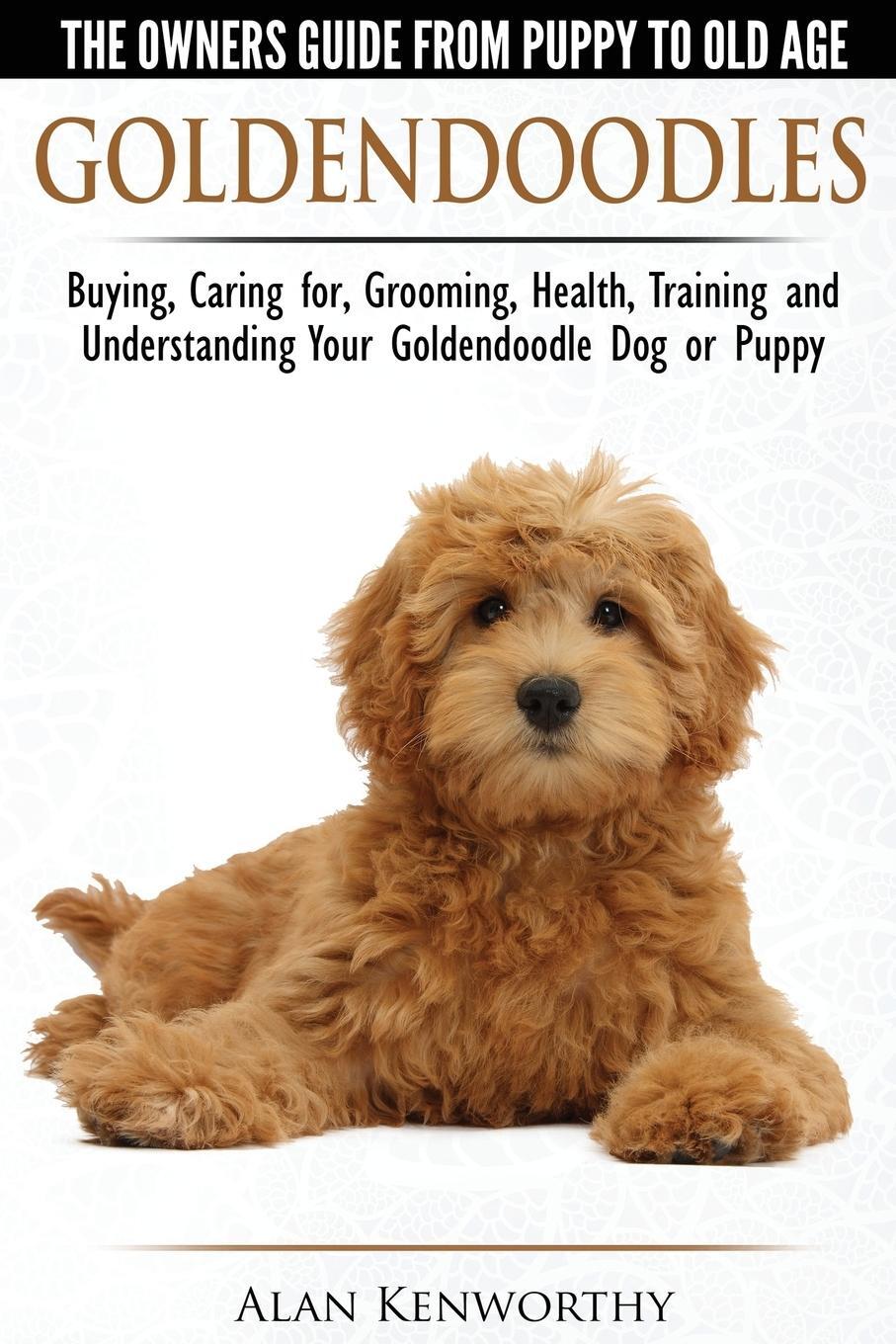 Cover: 9781910677001 | Goldendoodles - The Owners Guide from Puppy to Old Age - Choosing,...