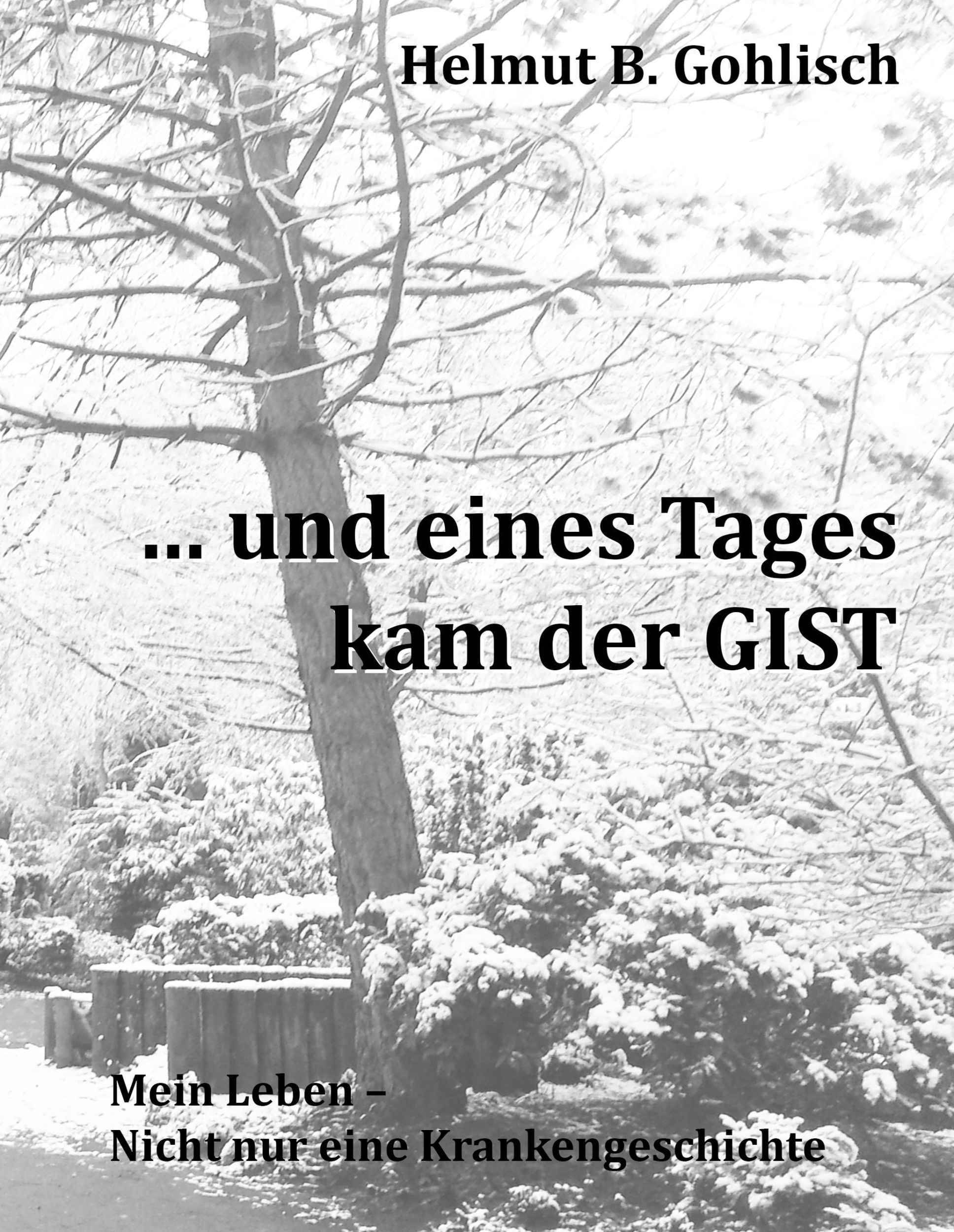 Cover: 9783746011080 | ... und eines Tages kam der GIST | Helmut B. Gohlisch | Buch | 500 S.