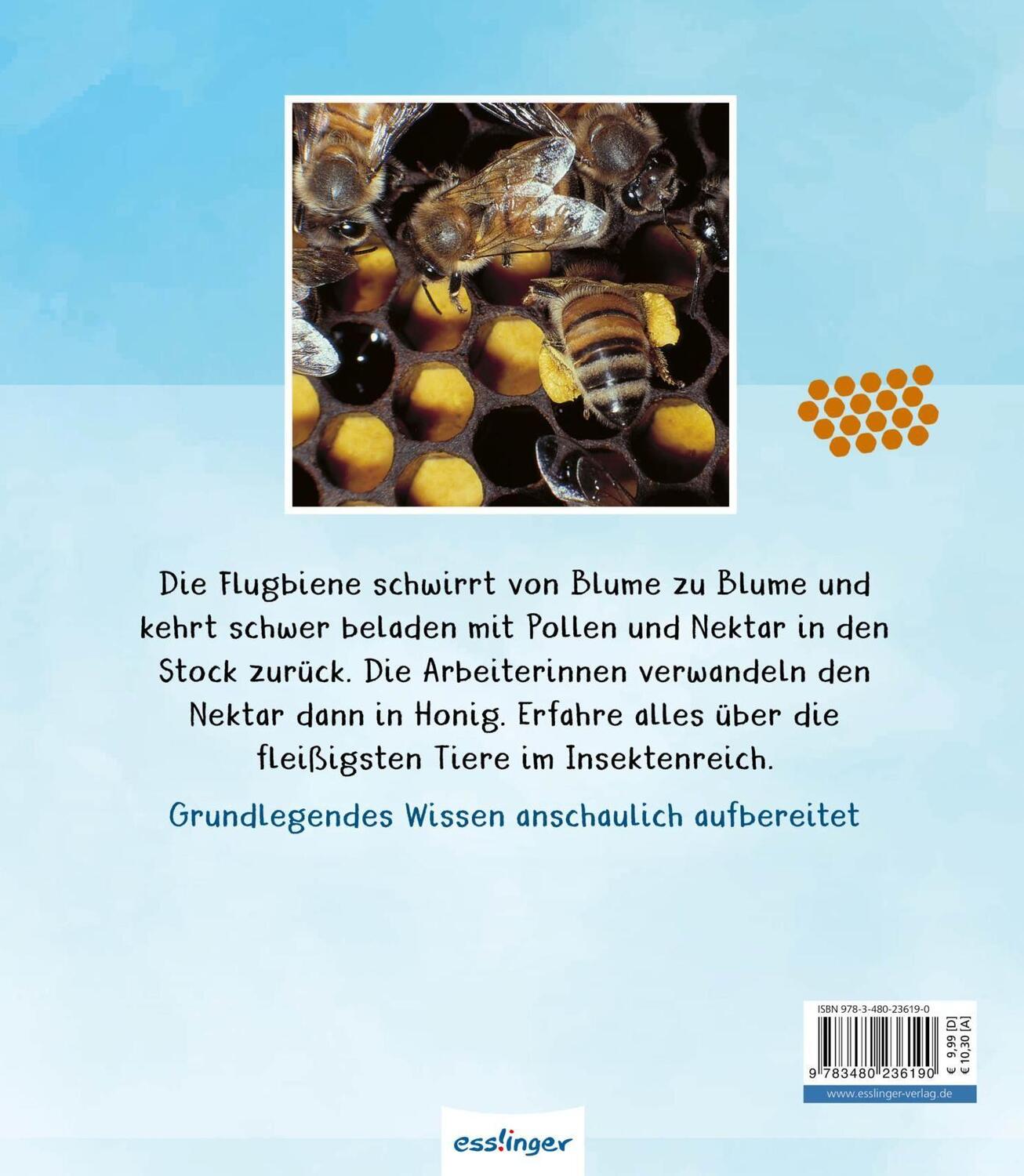 Rückseite: 9783480236190 | Meine große Tierbibliothek: Die Biene | Paul Starosta | Buch | 32 S.