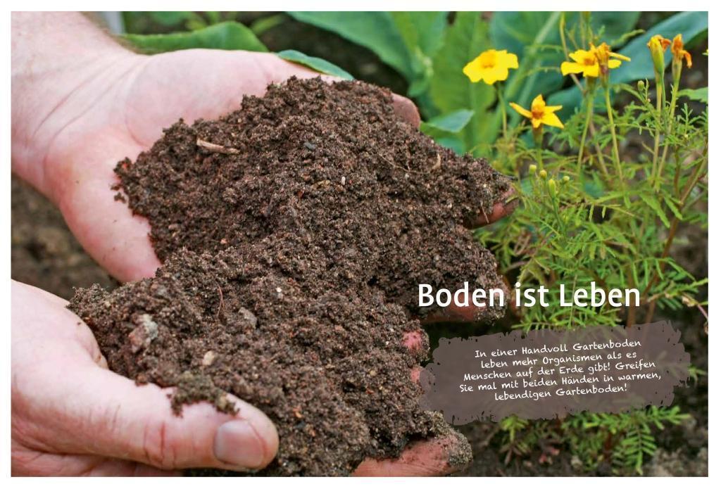 Bild: 9783818615024 | Naturgarten ganz einfach | Heike Boomgaarden (u. a.) | Buch | Deutsch