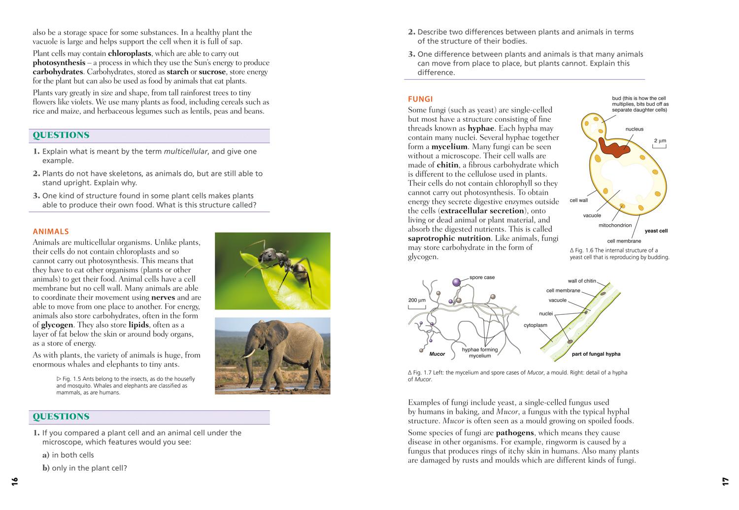 Bild: 9780008236199 | Edexcel International GCSE (9-1) Biology Student Book | Price (u. a.)