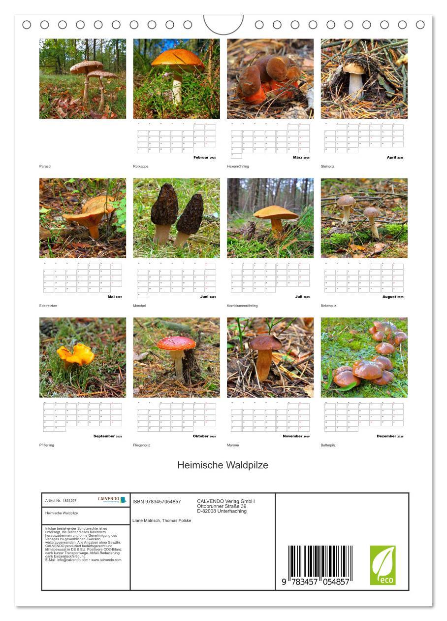 Bild: 9783457054857 | Heimische Waldpilze (Wandkalender 2025 DIN A4 hoch), CALVENDO...