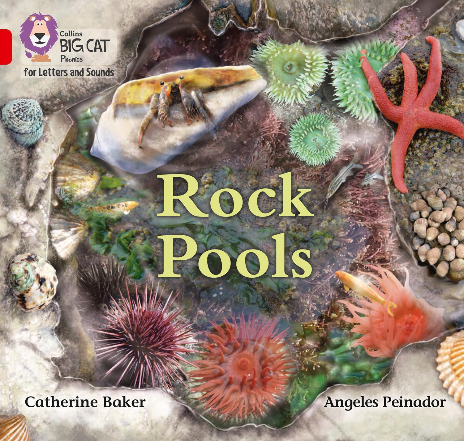 Cover: 9780008357702 | Rock Pools | Band 02b/Red B | Catherine Baker | Taschenbuch | Englisch