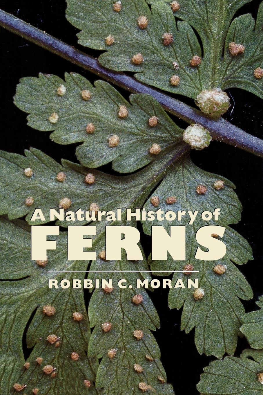 Cover: 9781604690620 | A Natural History of Ferns | A Natural History of Ferns | Moran | Buch