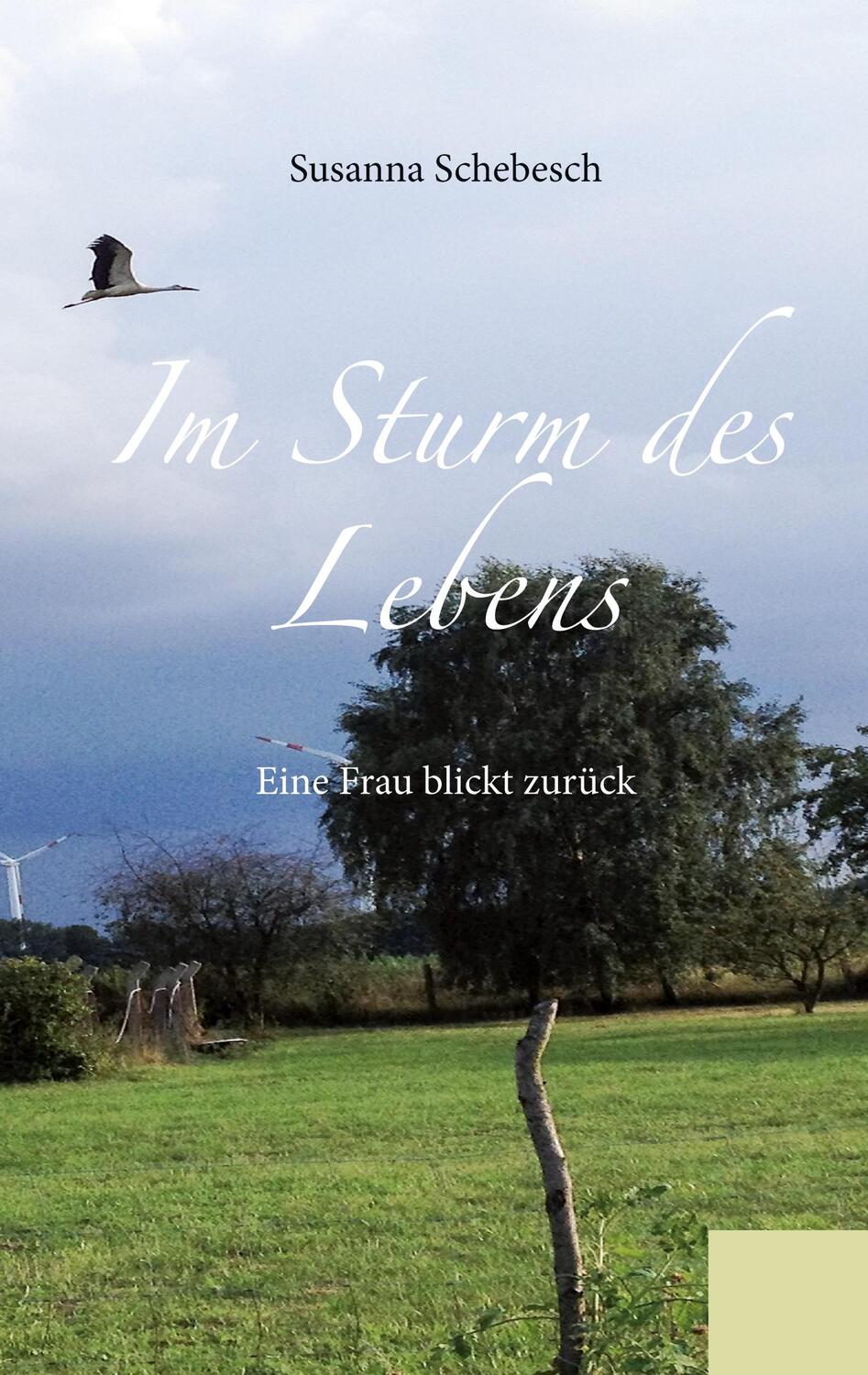 Cover: 9783746032603 | Im Sturm des Lebens | Eine Frau blickt zurück | Susanna Schebesch