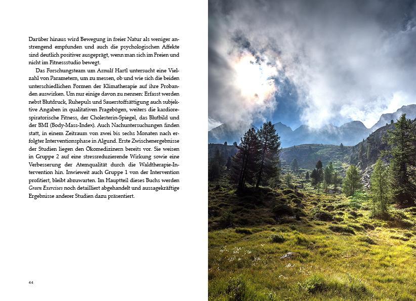 Bild: 9783711200167 | Heilkraft der Alpen | Arnulf Hartl (u. a.) | Buch | Deutsch | 2020
